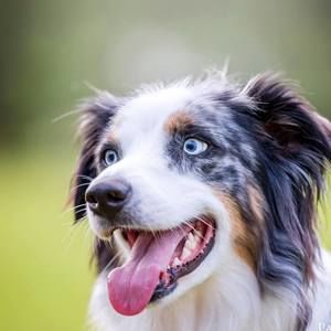 Meet your Posher, Mindy